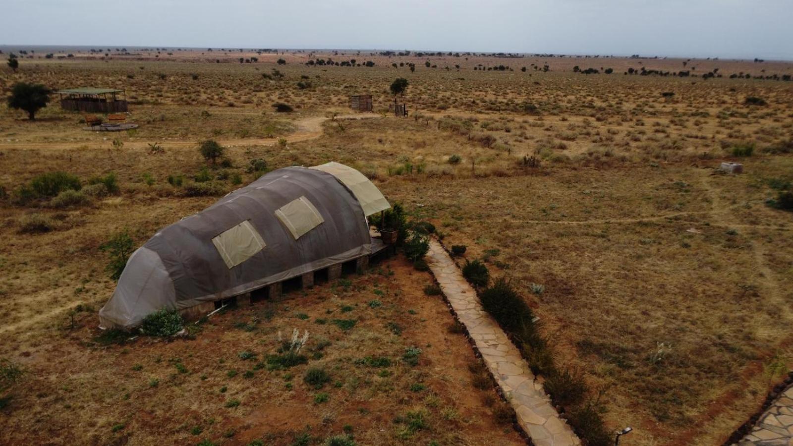 Little Amanya Camp Hotel Amboseli Kültér fotó